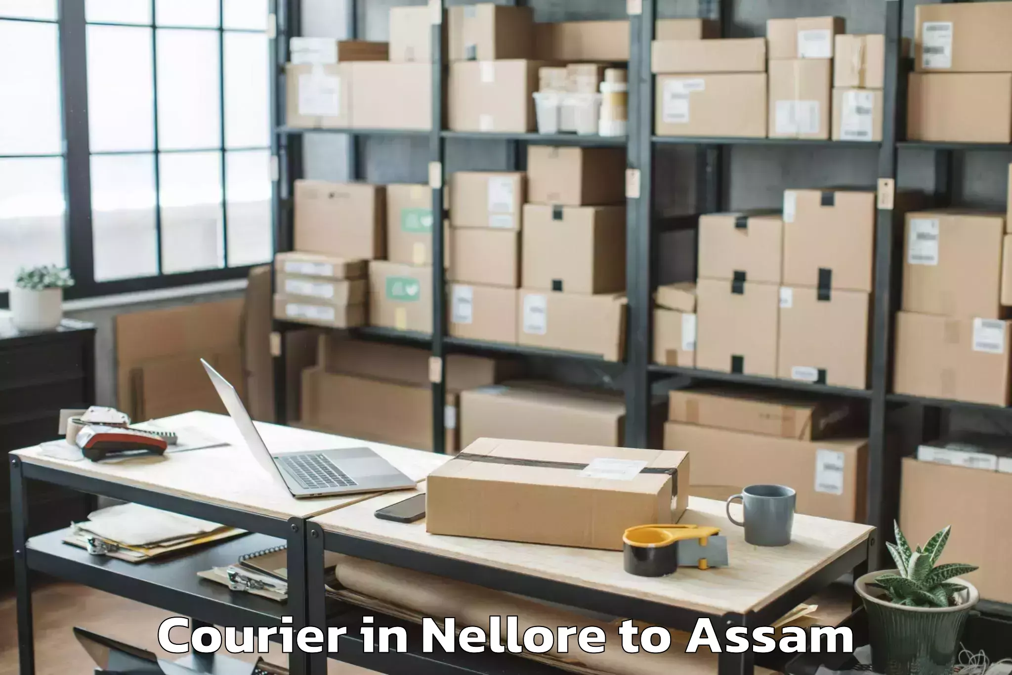 Easy Nellore to Laharighat Courier Booking